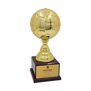 노블축구